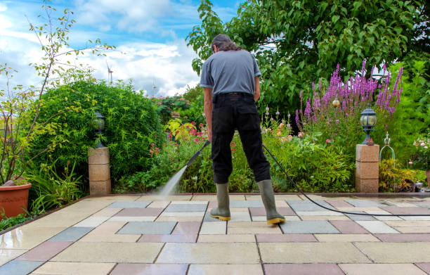 Best Sidewalk and Walkway Cleaning  in Rayne, LA